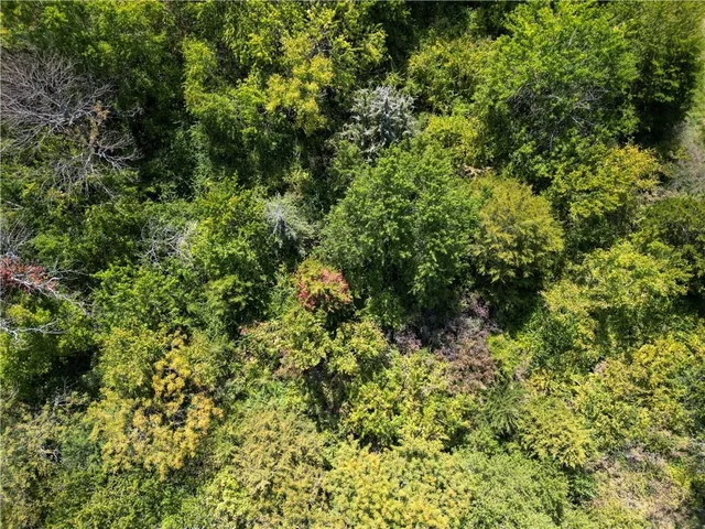 $695,000 | 21017 South Ratner Road, Overbrook, KS 66524