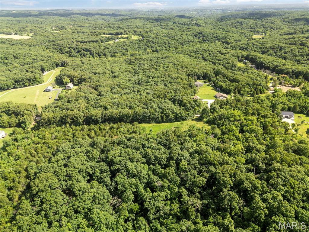 9-acres Timber Ridge Drive Marthasville, MO 63357 - Photo 17 of 22