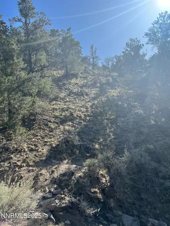 $100,000 | Apn Apn 665121st, Hawthorne, NV 89415