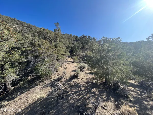 $100,000 | Apn Apn 665121st, Hawthorne, NV 89415