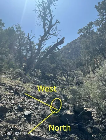 a picture of water view