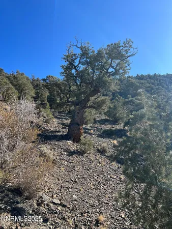 $100,000 | Apn Apn 665121st, Hawthorne, NV 89415