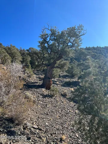 a view of outdoor space