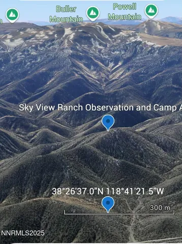 a view of a street with lots of trees