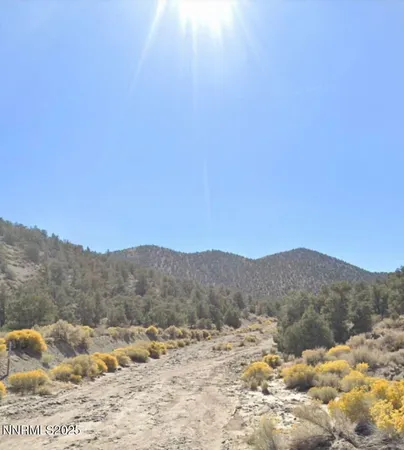 $100,000 | Apn Apn 665121st, Hawthorne, NV 89415