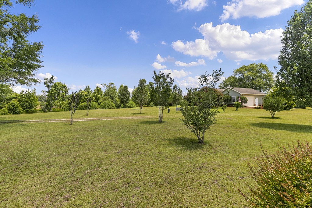 1148 Crawford Road Cowarts, AL 36321 - Photo 50 of 74