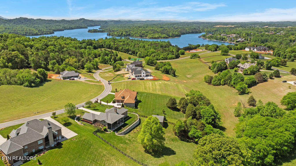 191 Thunder Ridge Drive Vonore, TN 37885 - Photo 9 of 60 Aerial 2