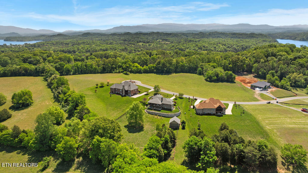 191 Thunder Ridge Drive Vonore, TN 37885 - Photo 10 of 60 Aerial 3
