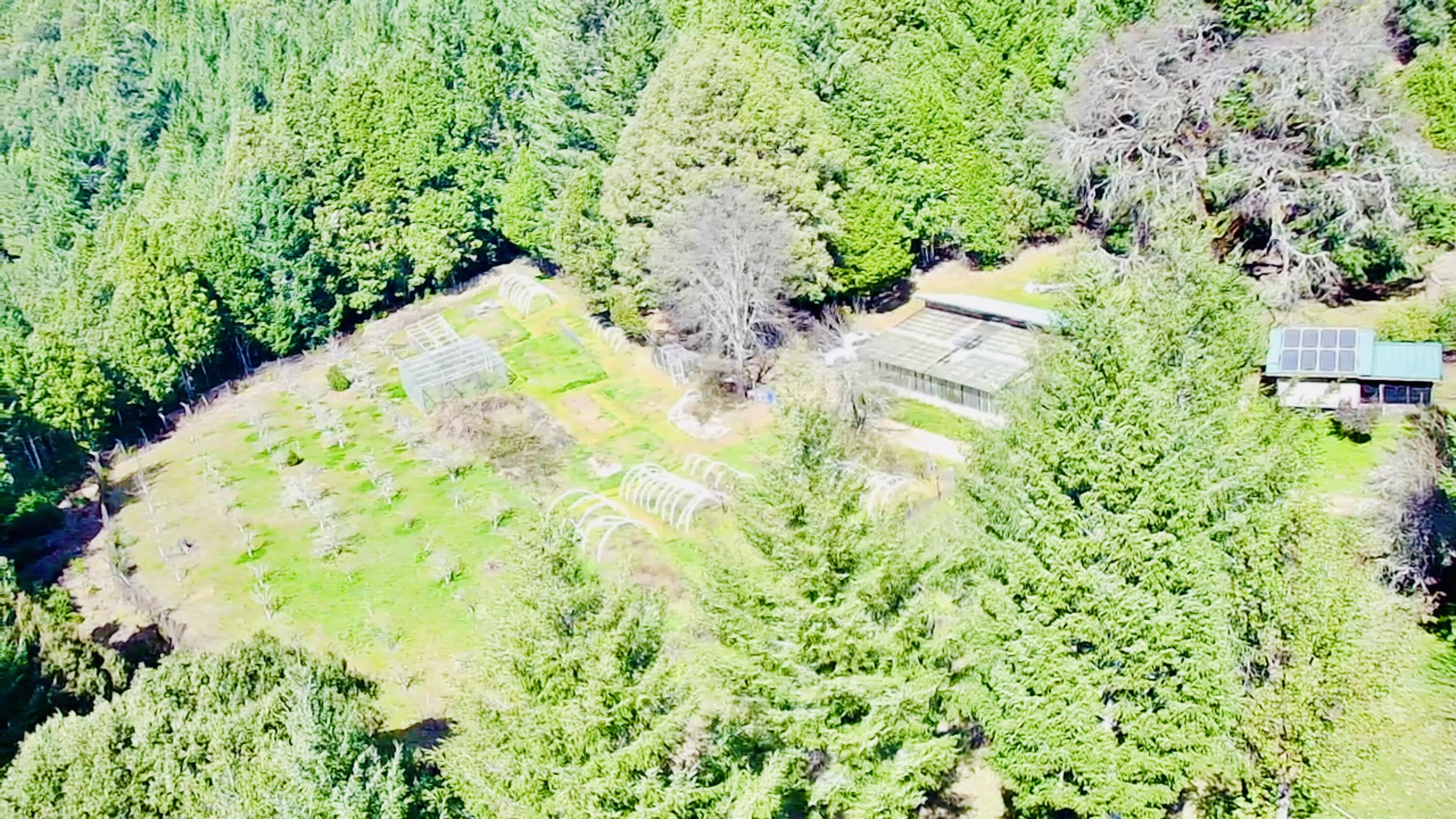 5500 Goodman Ranch Road Garberville, CA 95542 - Photo 146 of 153