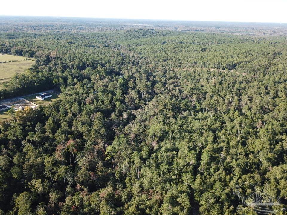 108-acres Wiley Scott Road Jay, FL 32565 - Photo 2 of 8