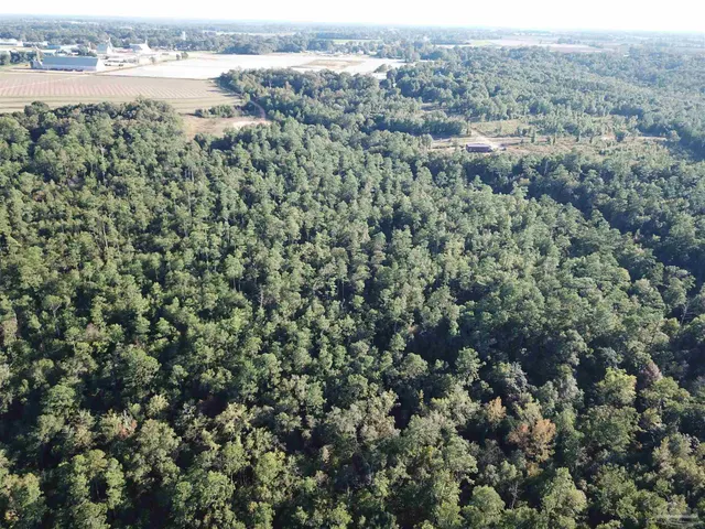 $549,900 | 108-acres Wiley Scott Road, Jay, FL 32565