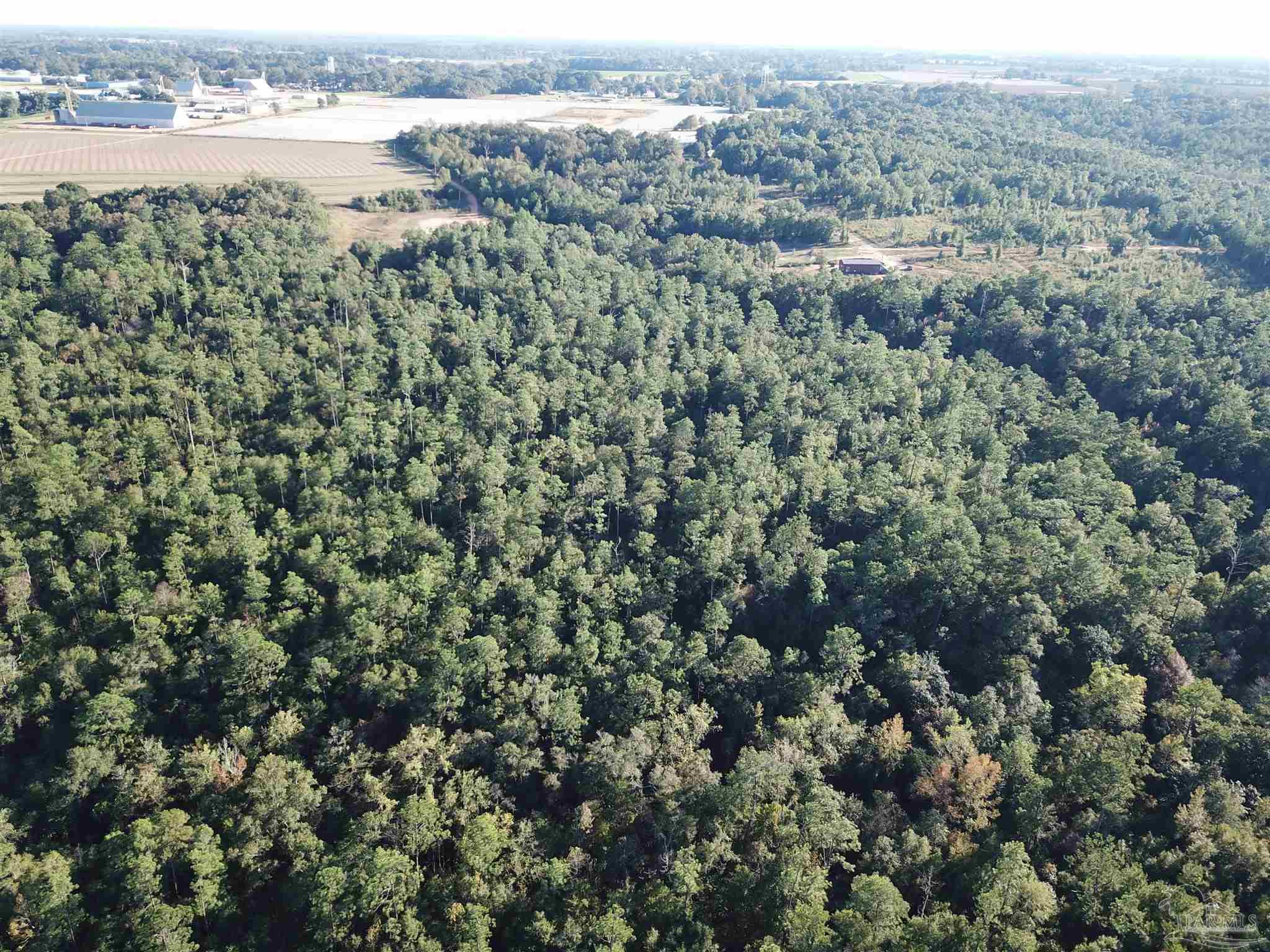 108-acres Wiley Scott Road Jay, FL 32565 - Photo 3 of 8