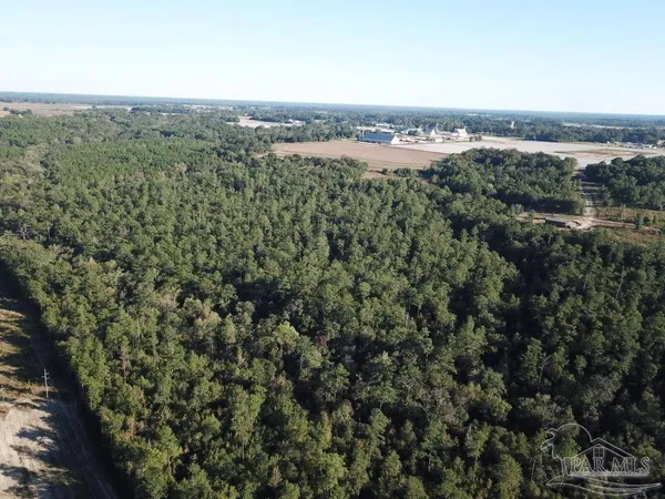 $549,900 | 108-acres Wiley Scott Road, Jay, FL 32565