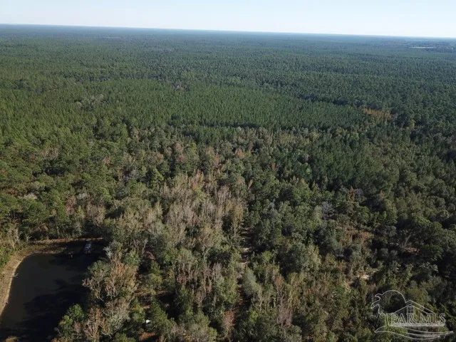 $549,900 | 108-acres Wiley Scott Road, Jay, FL 32565