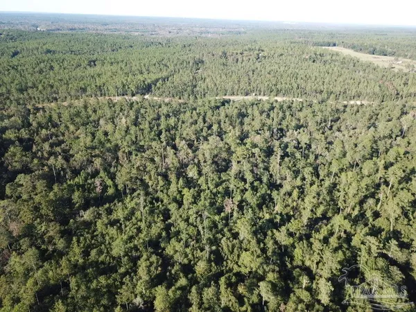 $549,900 | 108-acres Wiley Scott Road, Jay, FL 32565