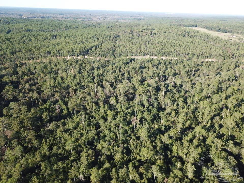 108-acres Wiley Scott Road Jay, FL 32565 - Photo 8 of 8