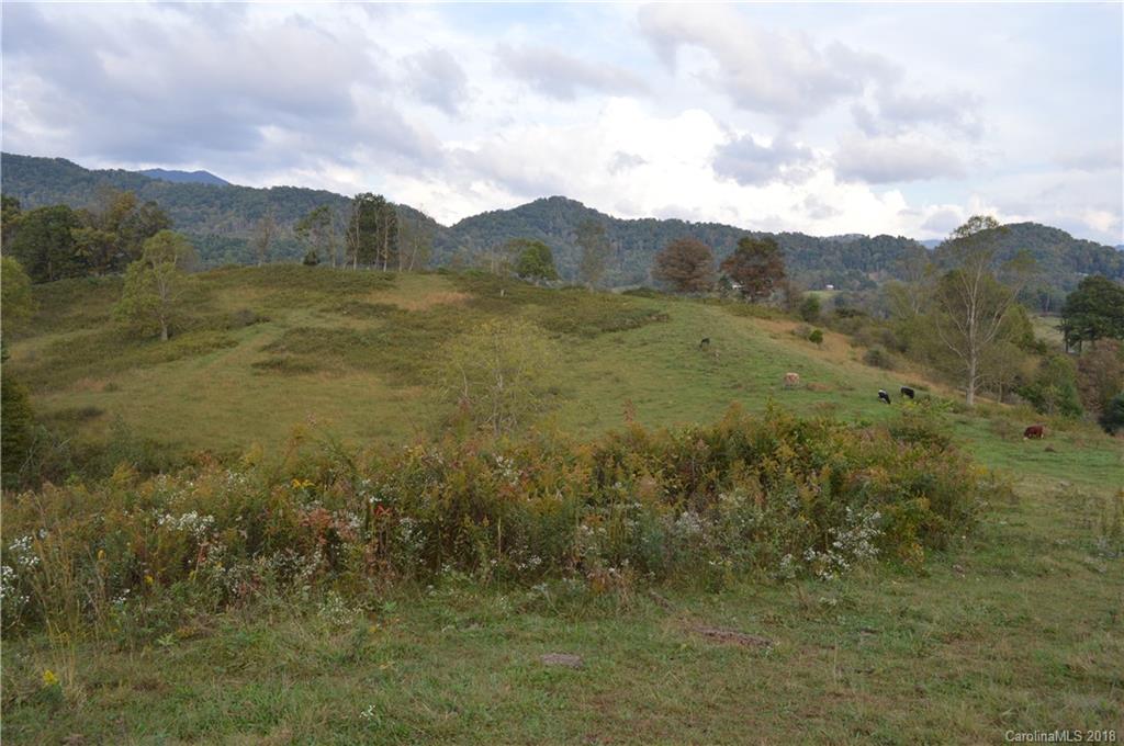 0 Rabbit Skin Road Waynesville, NC 28785 - Photo 3 of 36 a view of a dry yard with mountains in the background