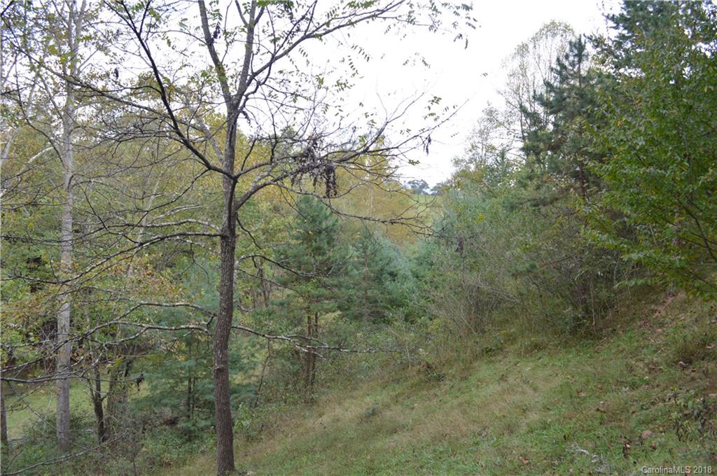 0 Rabbit Skin Road Waynesville, NC 28785 - Photo 8 of 36 a view of a yard with large trees