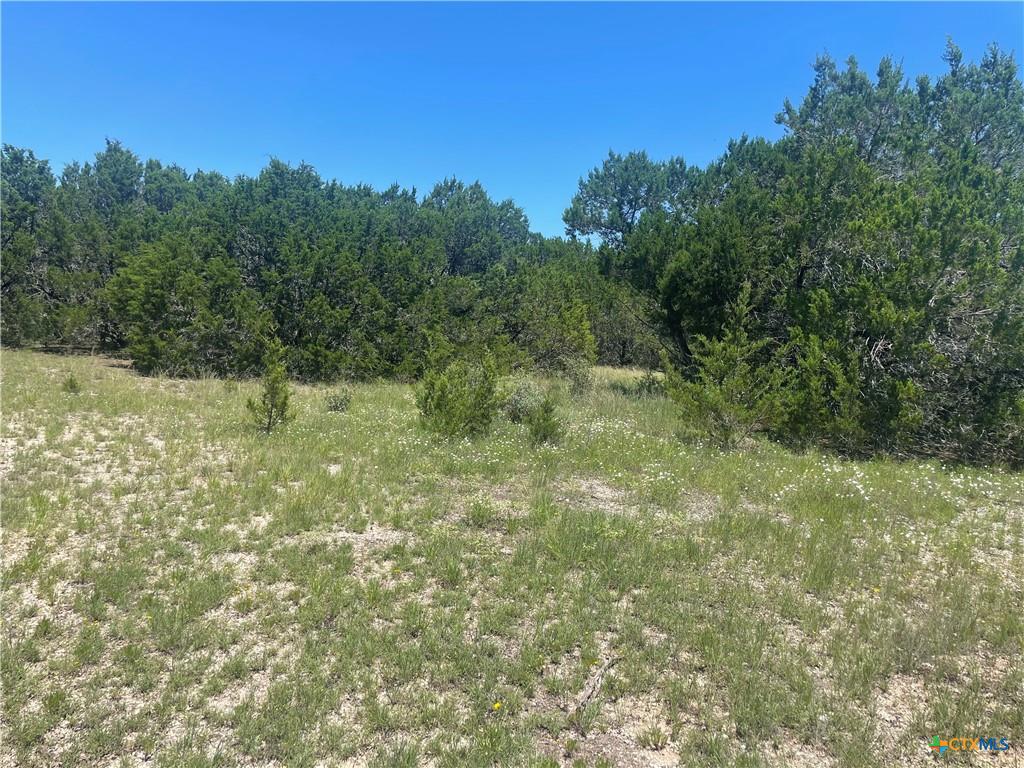 Lot 65 Estate View Circle Lampasas, TX 76550 - Photo 13 of 18 a view of a yard with trees in the background