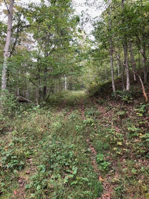 0 First Creek Road Ripley, WV 25271 - Photo 4 of 20 Gallery Image 4