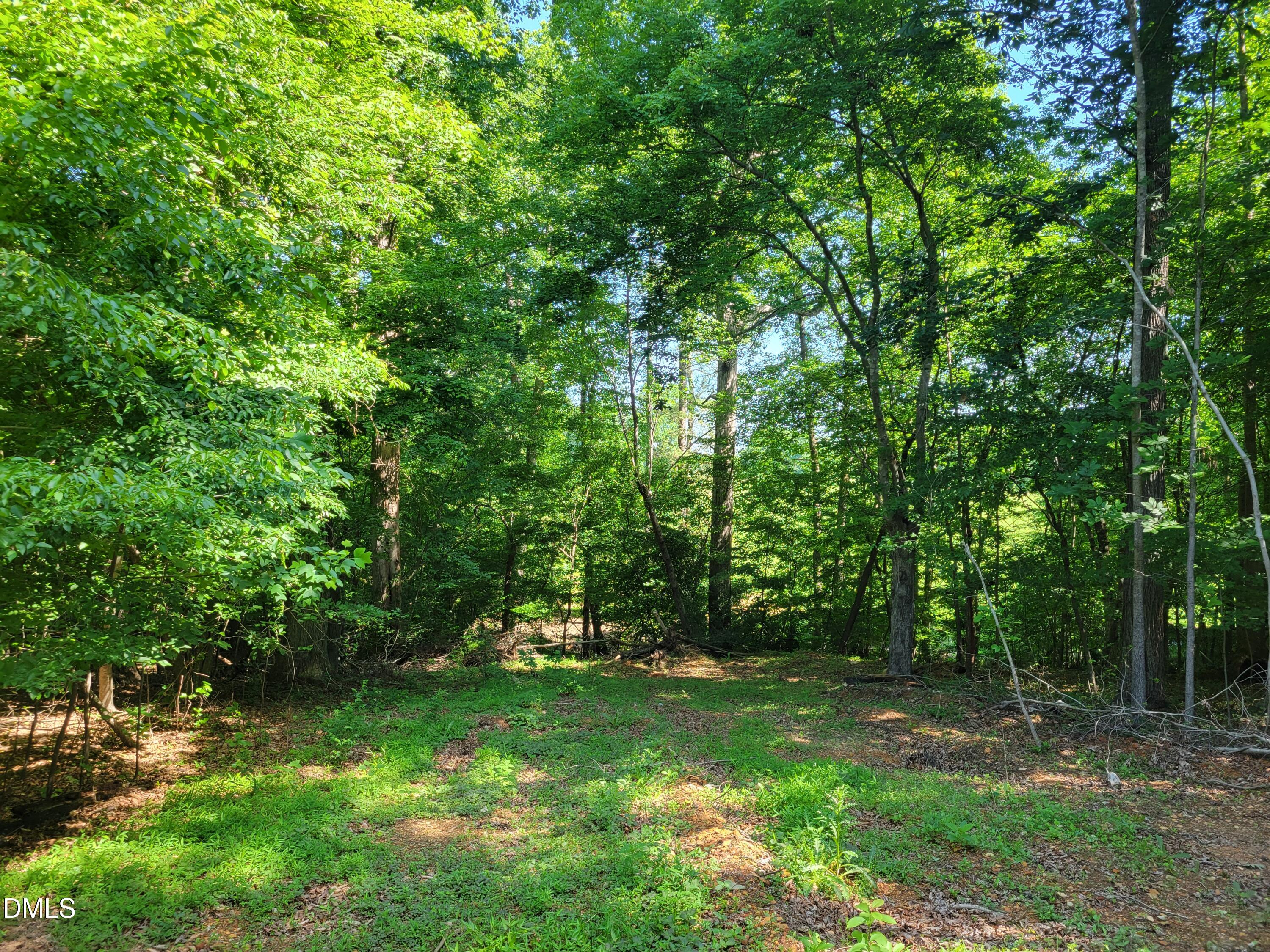 0 Hicks Farm Road Staley, NC 27355 - Photo 7 of 30 20260529_103620