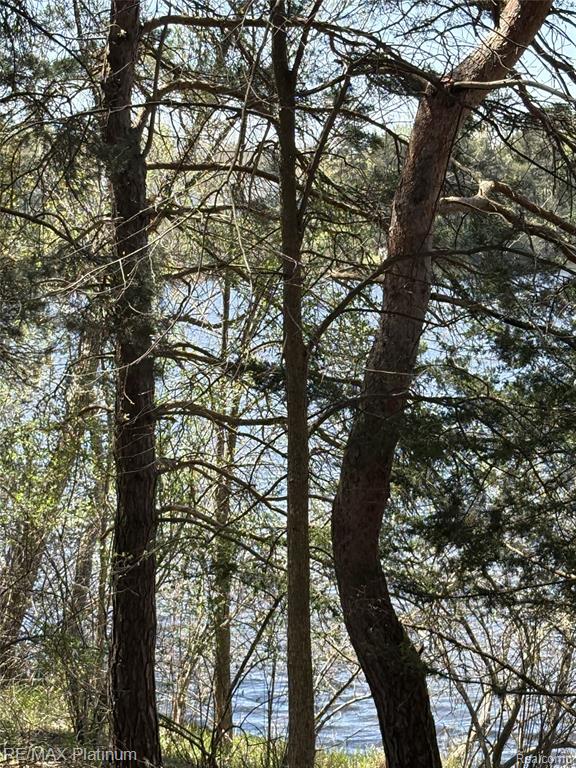 Parcel 3 Pineway Trail Howell, MI 48855 - Photo 8 of 15