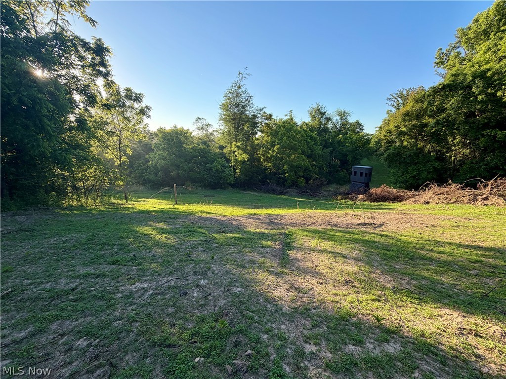 Sykes Ridge Road Clarington, OH 43915 - Photo 32 of 42