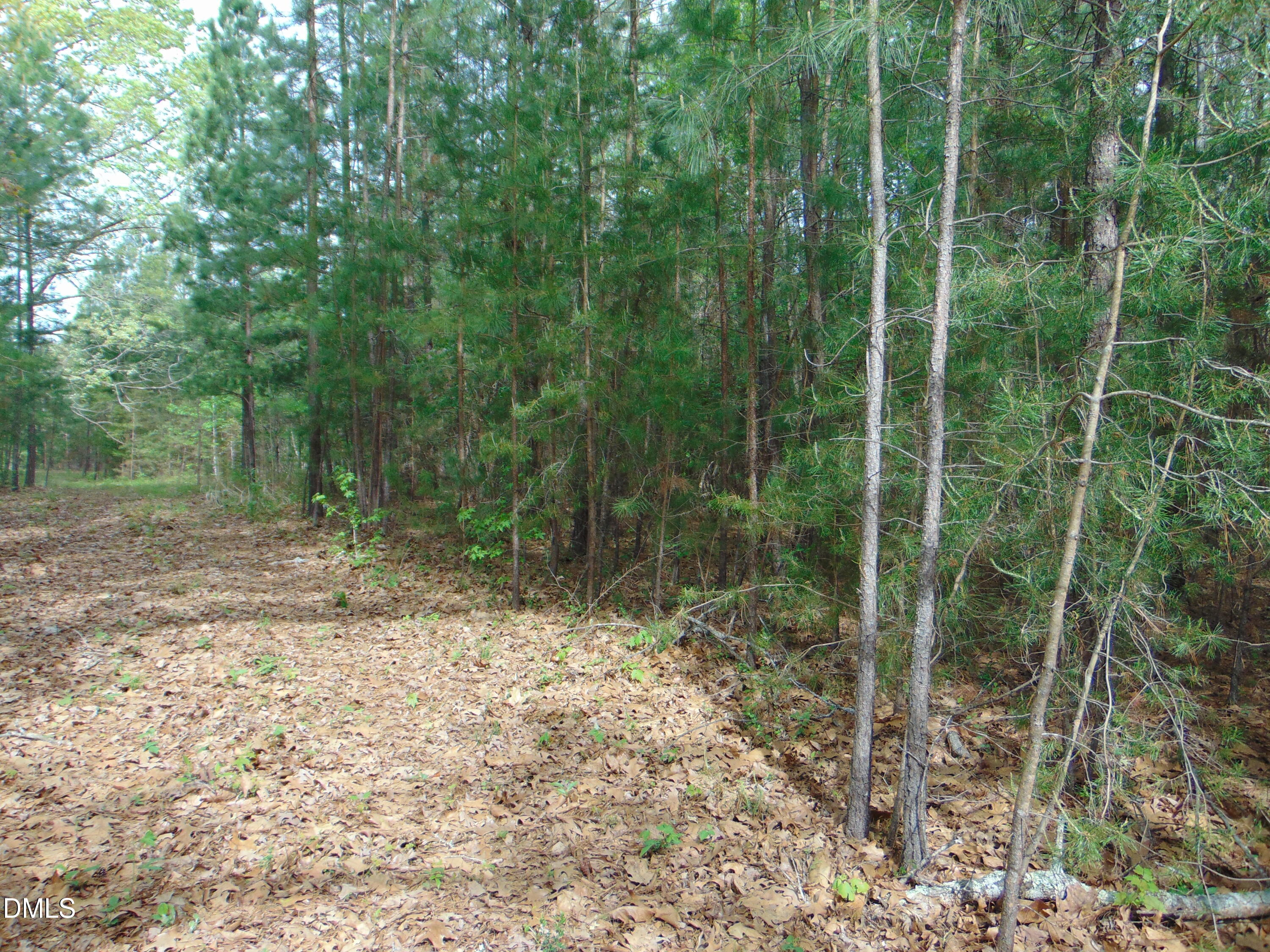 5 Park Springs Road Providence, NC 27315 - Photo 19 of 26 DSC01557