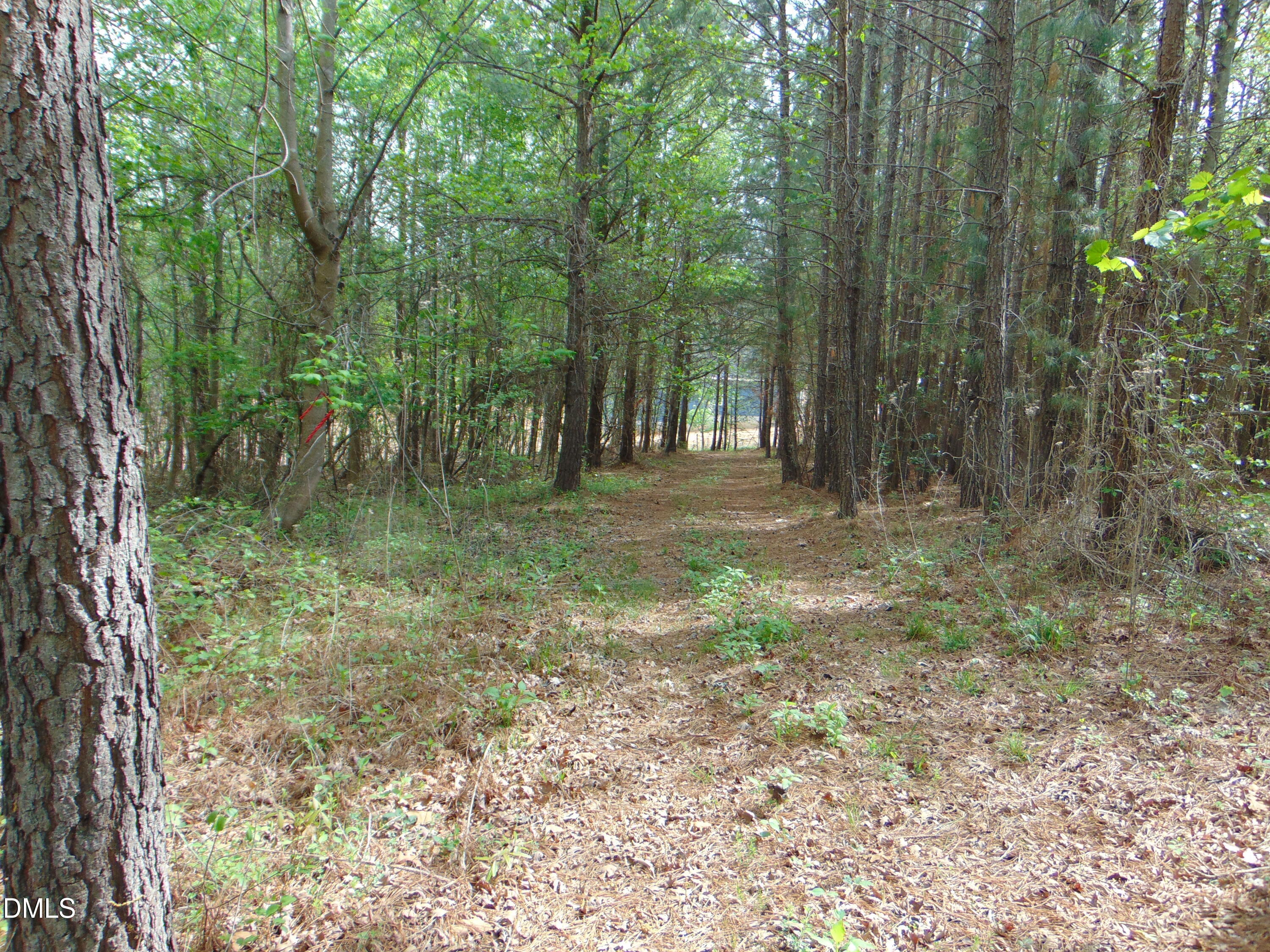 5 Park Springs Road Providence, NC 27315 - Photo 21 of 26 DSC01559