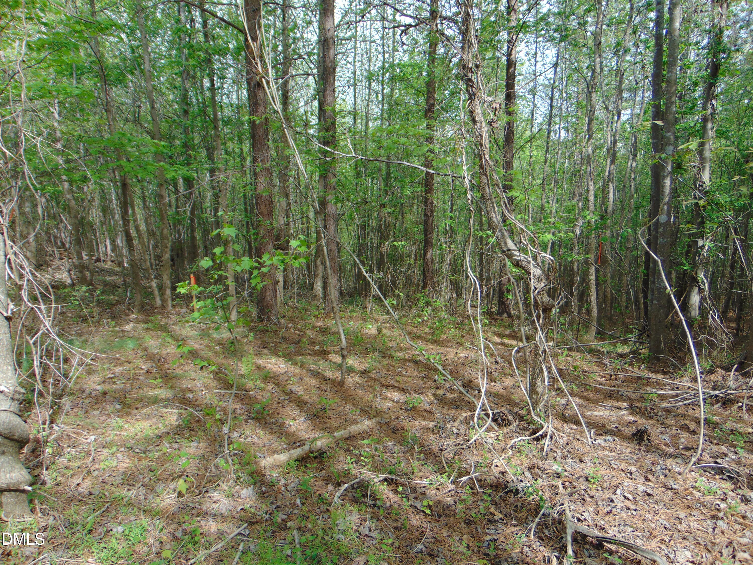 5 Park Springs Road Providence, NC 27315 - Photo 22 of 26 DSC01560