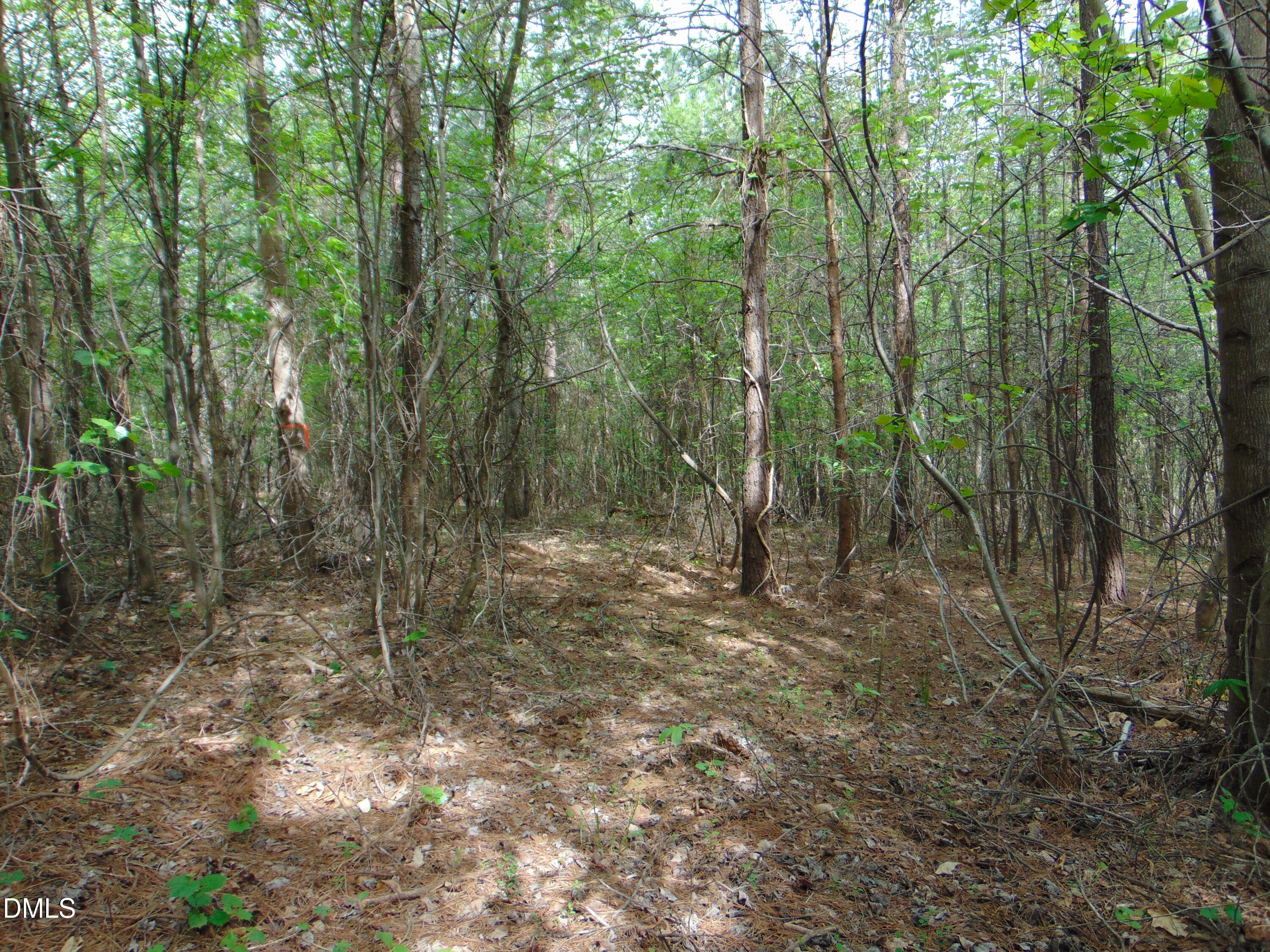 5 Park Springs Road Providence, NC 27315 - Photo 24 of 26 DSC01562