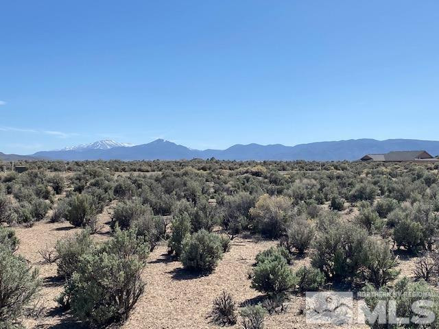 78 Desert View Drive Smith Valley, NV 89430 - Photo 11 of 25 Photo 9