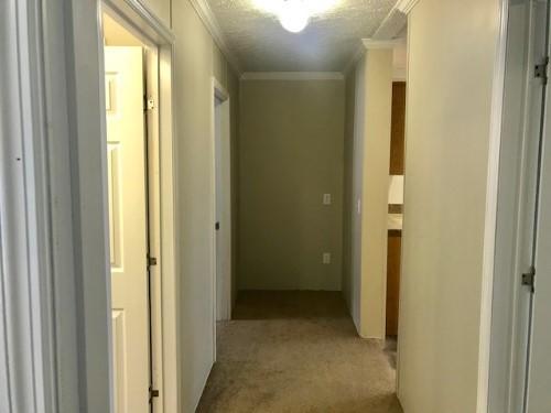 318 Corum Road Knoxville, TN 37924 - Photo 16 of 18 38176593