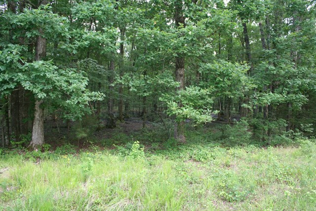 0 Salem Church Road Lincolnton, GA 30817 - Photo 1 of 3 Main View
