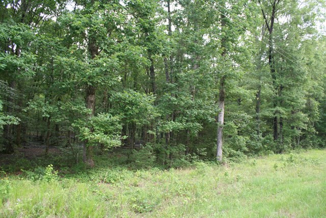 0 Salem Church Road Lincolnton, GA 30817 - Photo 3 of 3 Gallery Image 3