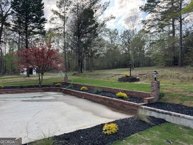 a view of a park with large trees