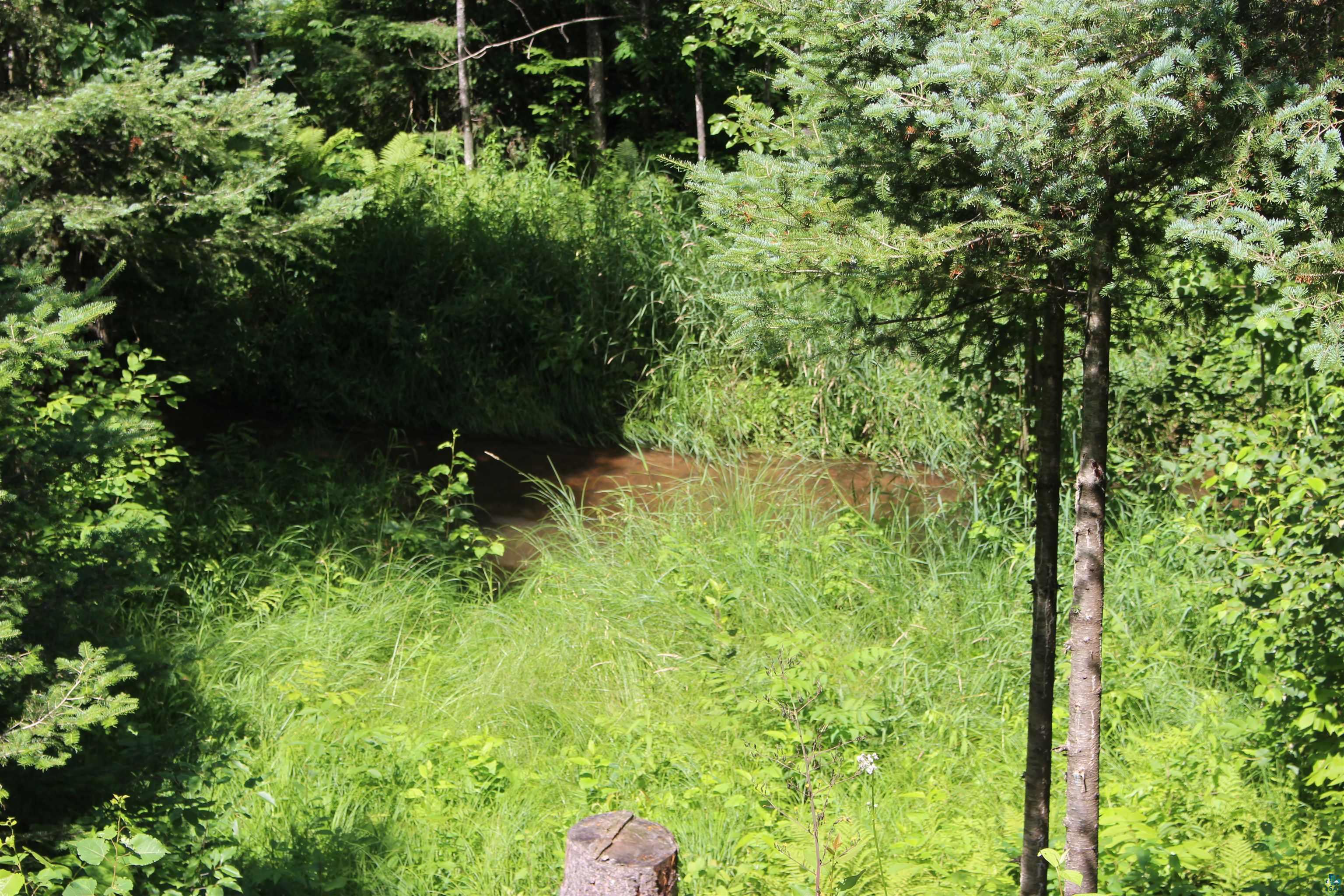7605 Cheese Factory Road Iron River, WI 54847 - Photo 46 of 73 Gallery Image 46