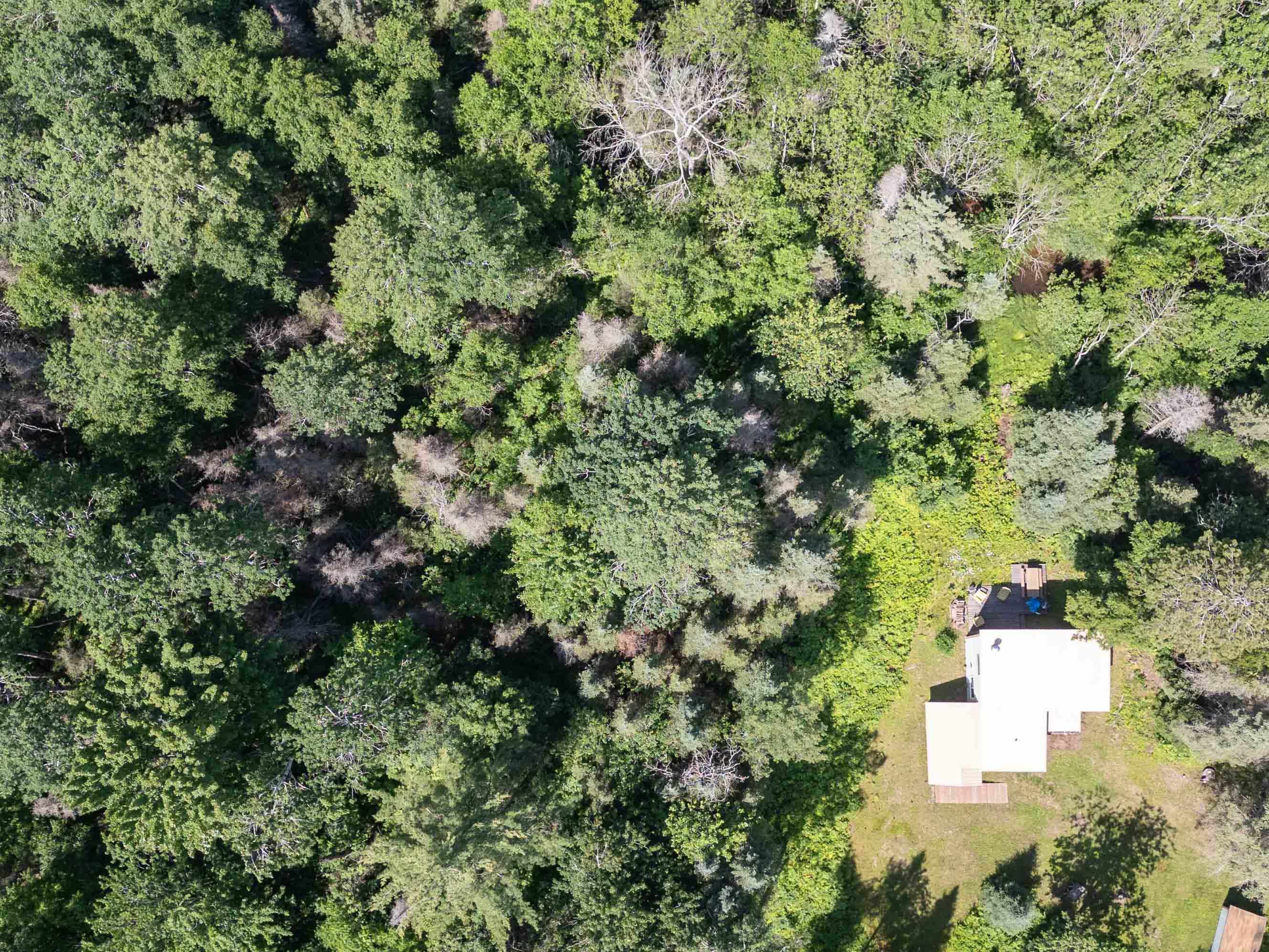 7605 Cheese Factory Road Iron River, WI 54847 - Photo 62 of 73 Gallery Image 62