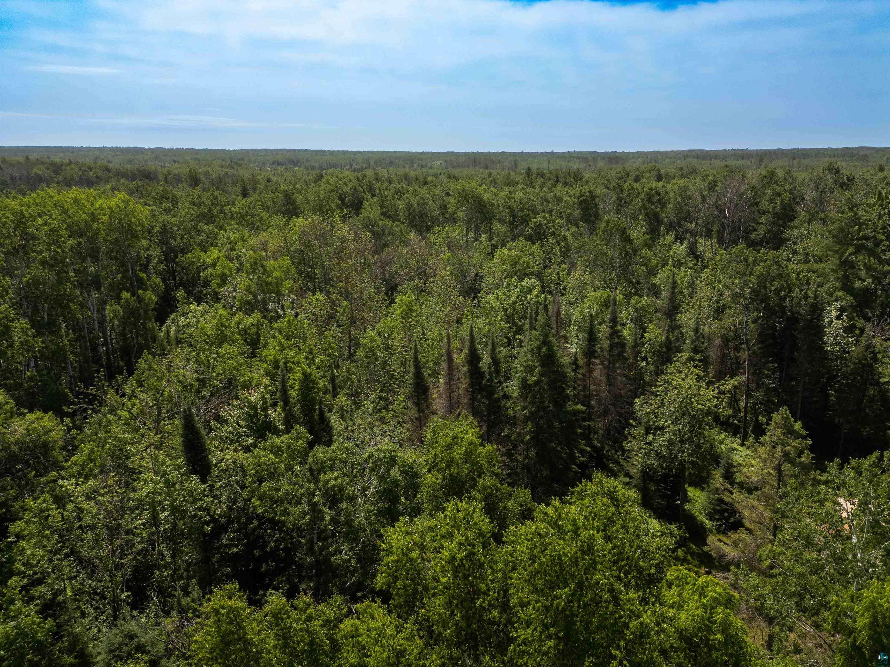 7605 Cheese Factory Road Iron River, WI 54847 - Photo 67 of 73 Gallery Image 67
