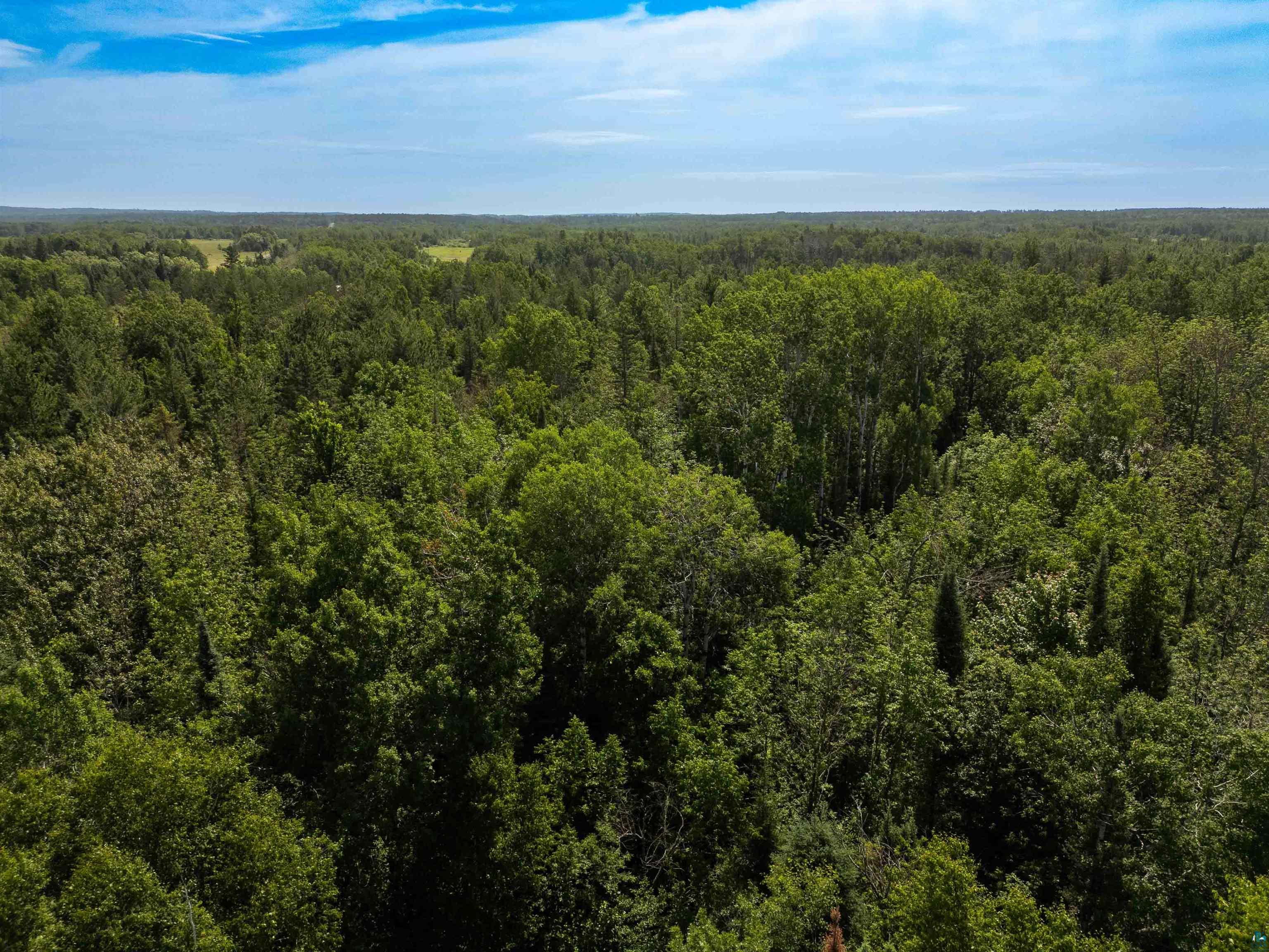 7605 Cheese Factory Road Iron River, WI 54847 - Photo 68 of 73 Gallery Image 68