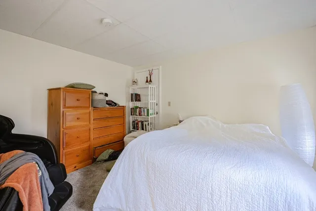 a bedroom with a bed and closet