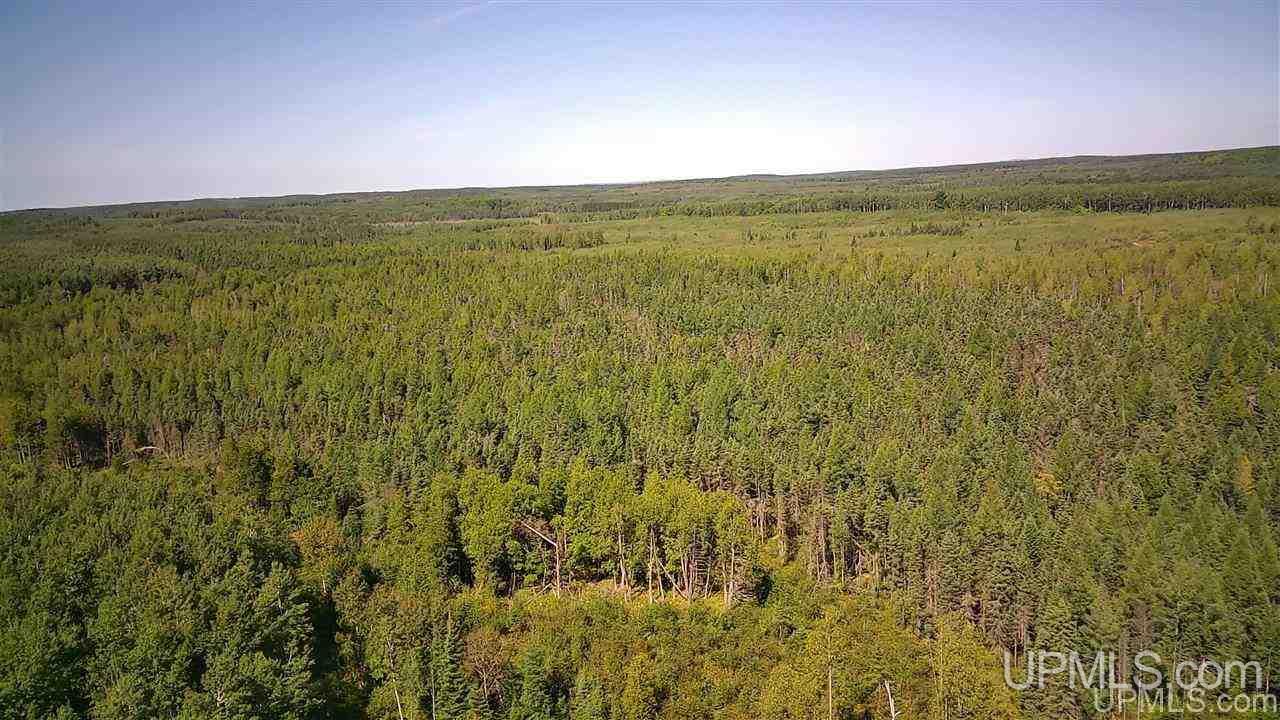 Tbd Off Of Co Rd 557, Unit 1 Arnold, MI 49819 - Photo 1 of 16