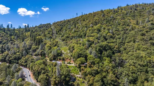 a view of a big yard with lots of bushes