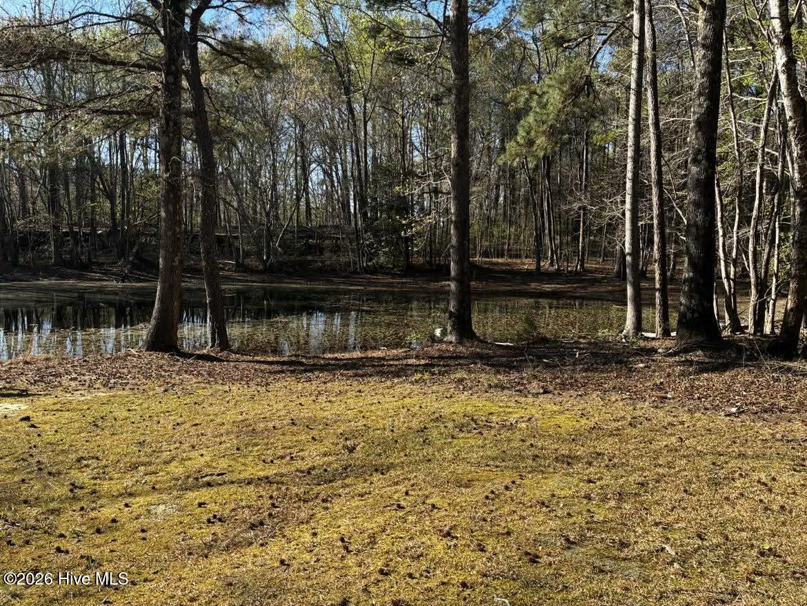 285 Kelly Road Carthage, NC 28327 - Photo 12 of 16 8