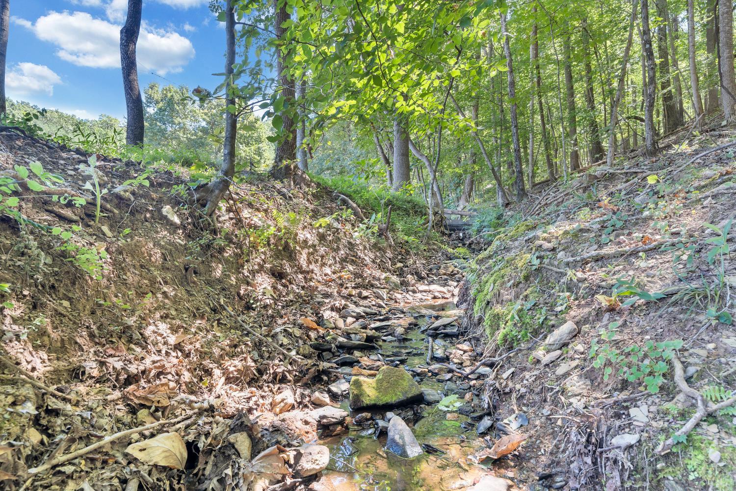 4344 Smith Mountain Road Penhook, VA 24137 - Photo 70 of 100 Stream