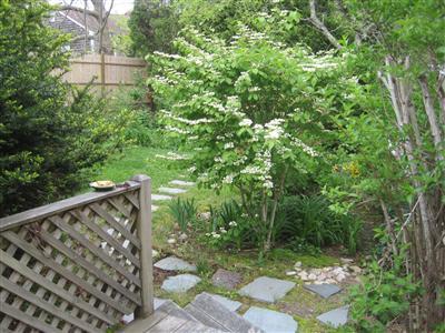 49 Meadow Brook Road North Chatham, MA 02650 - Photo 17 of 19 Additional Photo