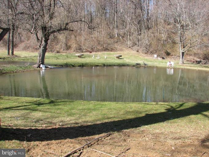 42 Chester Gap Road Chester Gap, VA 22623 - Photo 3 of 3 Pond on Property
