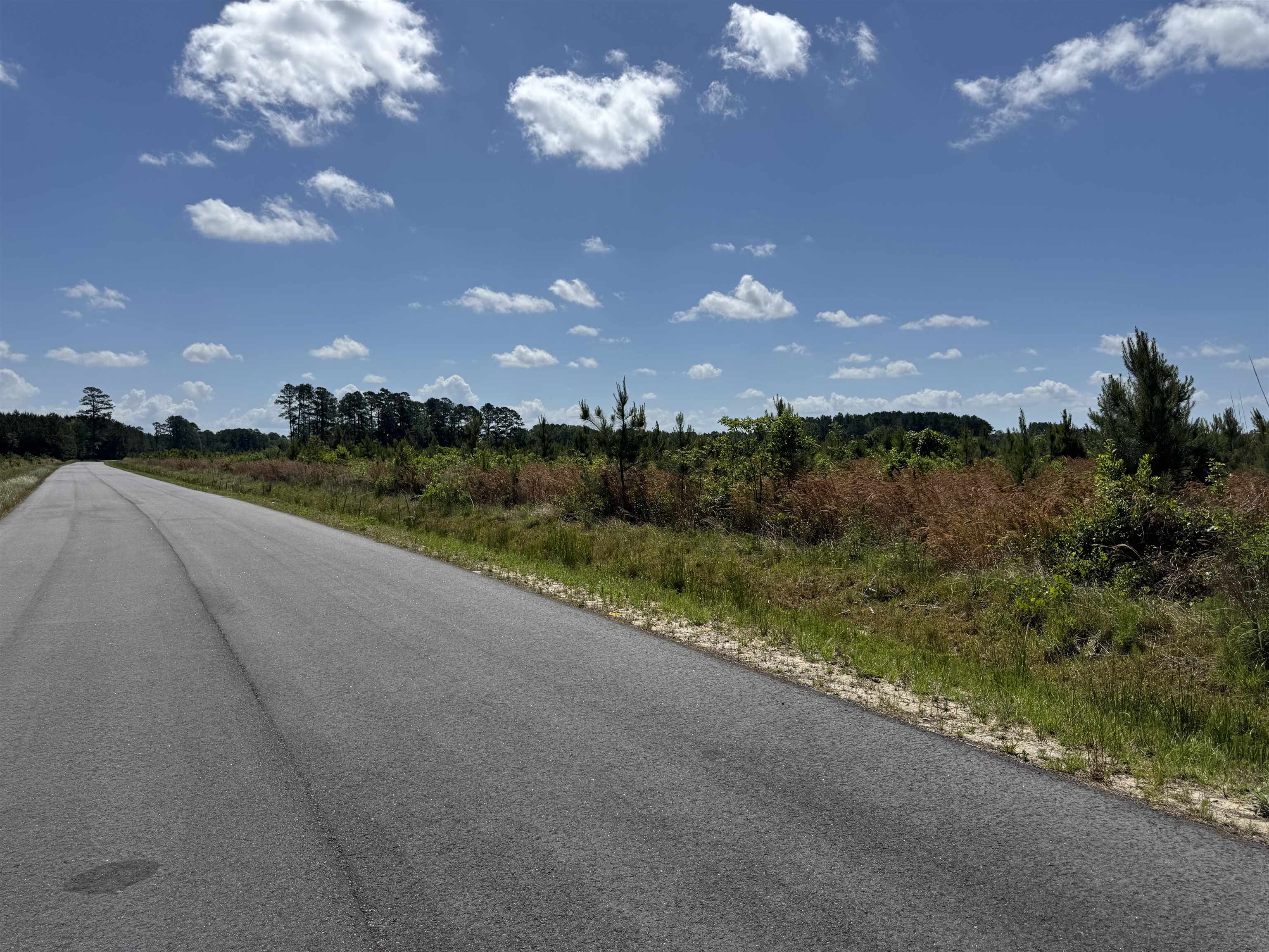 4782 Grainger Circle Green Sea, SC 29545 - Photo 14 of 17