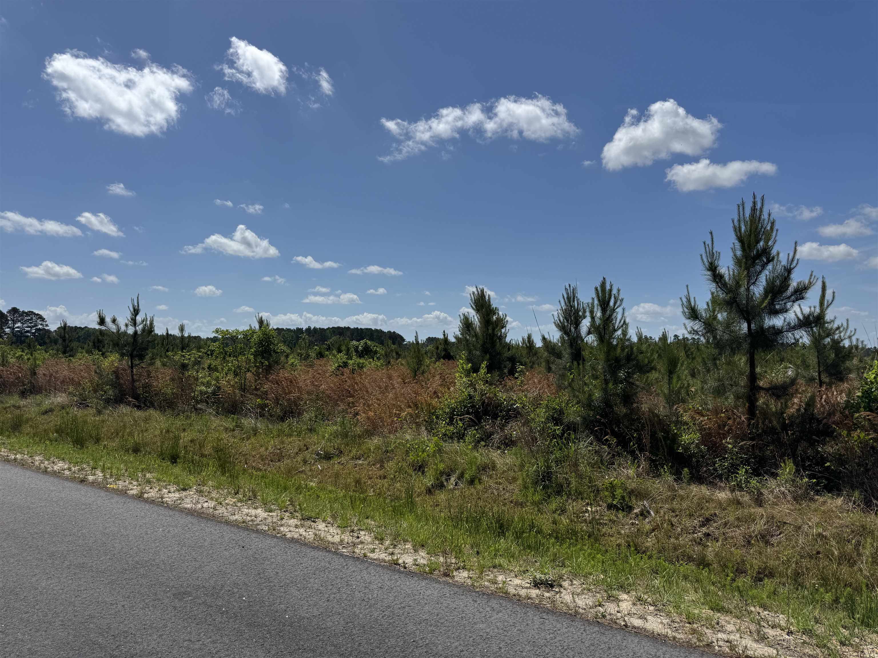 4782 Grainger Circle Green Sea, SC 29545 - Photo 15 of 17