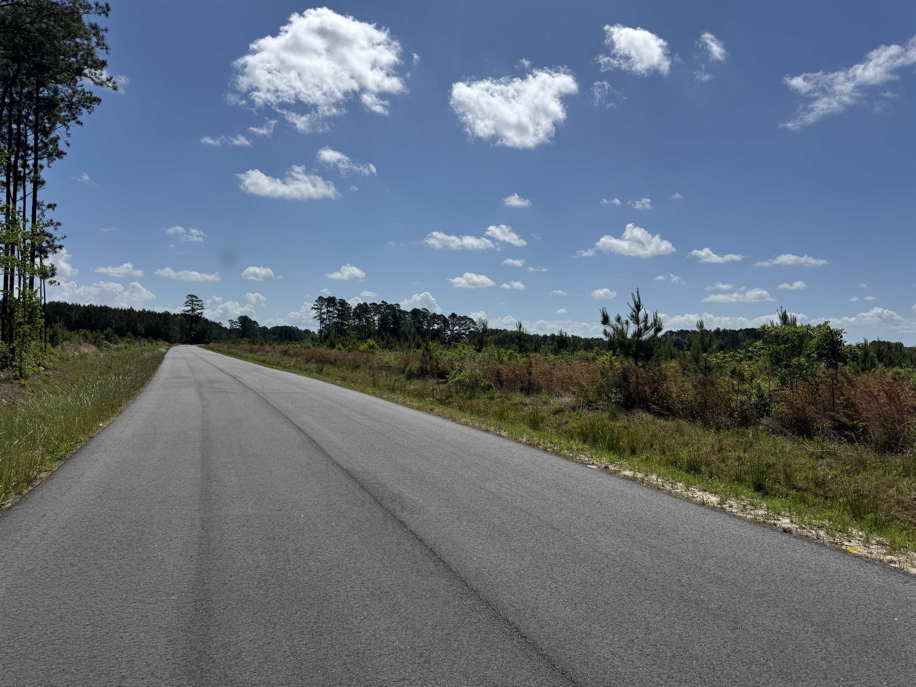 4782 Grainger Circle Green Sea, SC 29545 - Photo 16 of 17